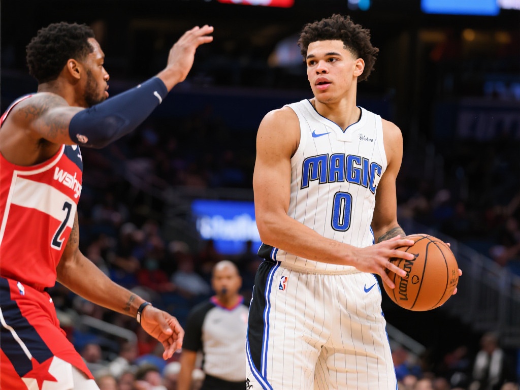 粉丝群体的 粉丝群体的